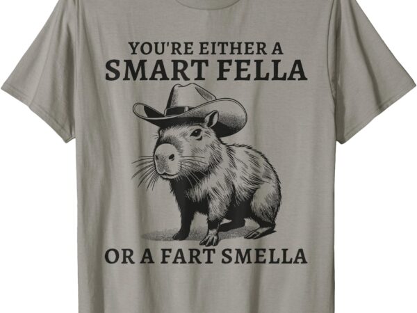 You’re either a smart fella or a fart smella funny sarcastic t-shirt