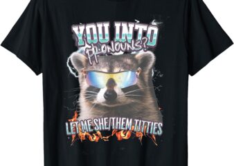 You’re Into Pronouns_ Let Me She_Them Tiddies Funny Raccoon T-Shirt