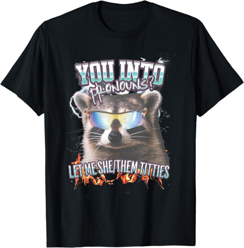 You’re Into Pronouns_ Let Me She_Them Tiddies Funny Raccoon T-Shirt