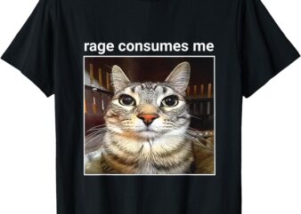 rage is consuming me cat silly meme T-Shirt