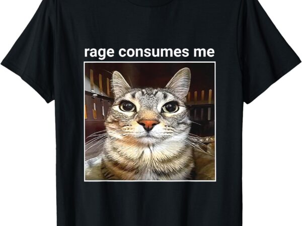 Rage is consuming me cat silly meme t-shirt