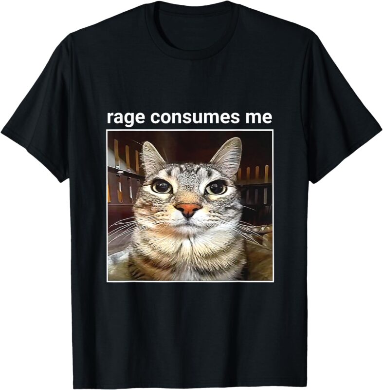 rage is consuming me cat silly meme T-Shirt