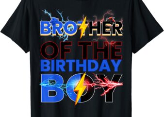 Brother Of The Birthday Boy Hedgehog Family Party T-Shirt