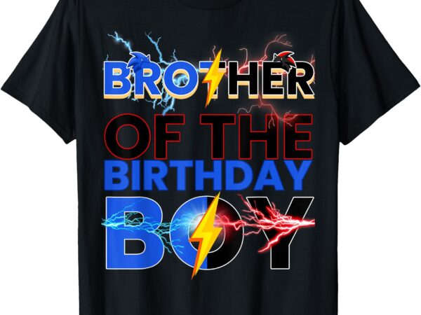 Brother of the birthday boy hedgehog family party t-shirt