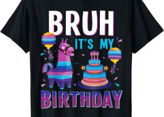 Bruh Its My Birthday Llama Pinata Funny Bday Kids Boys T-Shirt