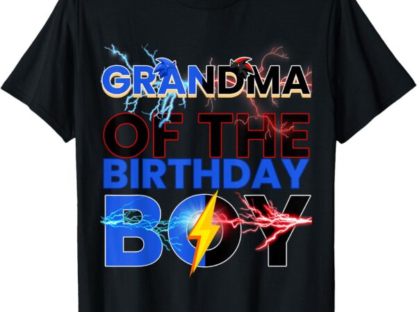 Grandma of the birthday boy hedgehog family party kids t-shirt