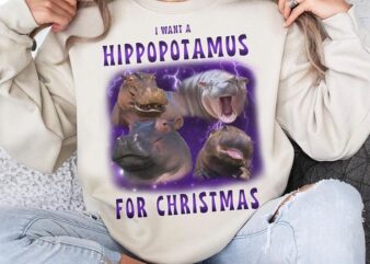 I Want A Hippopotamus For Christmas Shirt, Baby Hippo Tee, Moo Deng Shirt, Hippo Lover, Funny Hippo Shirt, Hippo Family Matching Shirt