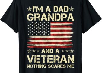 I’m A Dad Papa And Veteran Funny Retro Dad Papa Grandpa T-Shirt