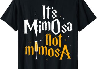 It’s Mimosa Not Mimosas Funny Drinking Party For Men Women T-Shirt