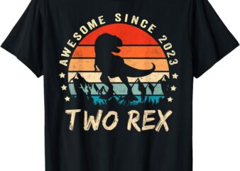 Two Rex 2nd Birthday Gift Second Dinosaur 2 Year Old T-Shirt