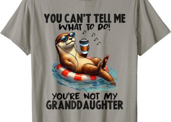 You Can’t Tell Me What To Do You Are Not My Granddaughter T-Shirt