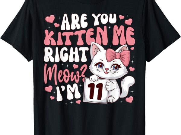 11th birthday tee for girl 11yr 11 year old kitten cat t-shirt