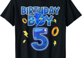 Birthday Boy 5th Matching Hedgehog Party Funny T-Shirt