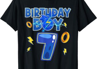 Birthday Boy 7th Matching Hedgehog Party Funny T-Shirt