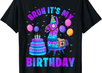 Bruh Its My Birthday Llama Pinata Boy Girl Family Bday Party T-Shirt