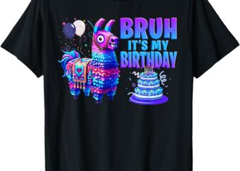 Bruh its my birthday llama pinata family boy girl party kids t-shirt