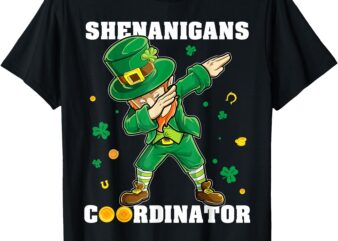 Funny St Patricks Day Mens Women Shenanigans Coordinator T-Shirt