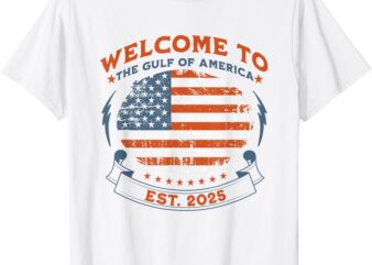 Gulf Of USA America Est 2025 Flag T-Shirt