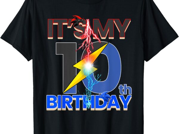 It’s my 10th birthday hedgehog family boys & girl kids t-shirt