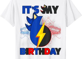 It’s My 6th Birthday Boy Hedgehog Family Party Decorations T-Shirt