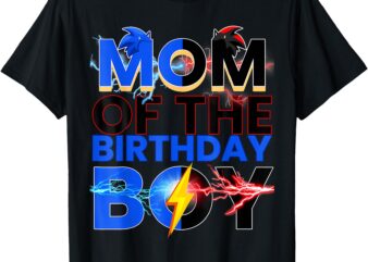 Mom Of The Birthday Boy Hedgehog Family Party Decorations T-Shirt