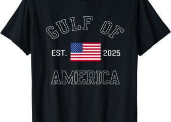 Retro Gulf Of USA America Est 2025 American Flag Men Women T-Shirt