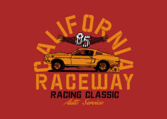 california raceway