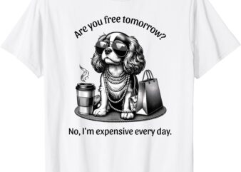 Are You Free Tomorrow_ No, I’m Expensive Every Day T-Shirt