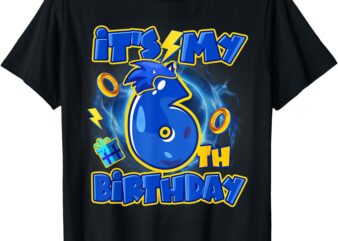 Birthday Boy 6th Bday Party Matching Hedgehog Kids Boys T-Shirt