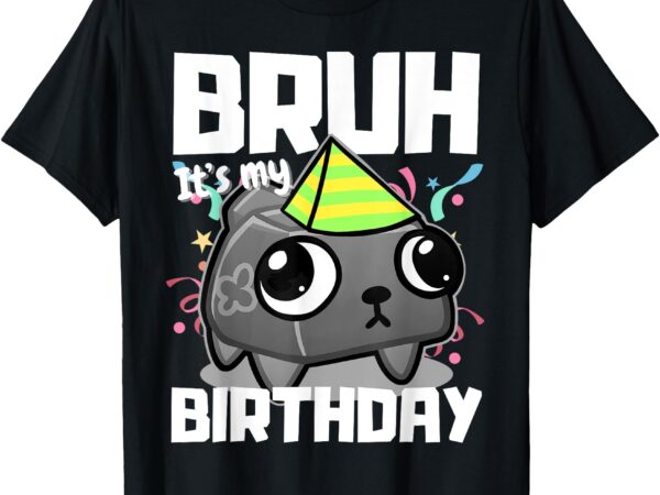 Bruh is my birthday dandy’s world funny pebble t-shirt