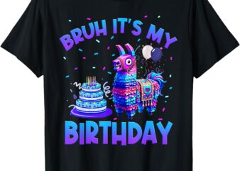 Bruh Its My Birthday Llama Funny Pinata Birthday Kids Boys T-Shirt