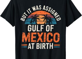 But it was assigned Gulf of Mexico at birth Retro Beach T-Shirt