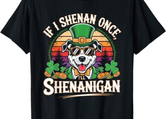 Funny If I Shenan Once I’ll Shenanigan Dog St Patricks T-Shirt