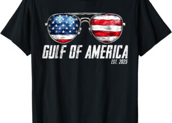 Gulf Of US America Est 2025 Retro Vintage Sunglasses T-Shirt