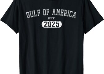 Gulf Of US America Est 2025 Retro Vintage USA American Flag T-Shirt