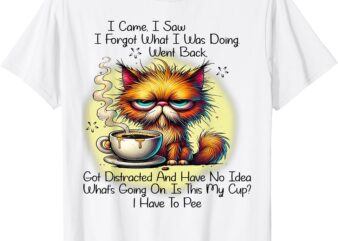 I Came I Saw I Forgot What I Was Doing Went Back Got Distrac T-Shirt