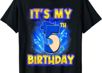 It’s My 5th Birthday Hedgehog Birthday Boy 5 Years Old Kids T-Shirt