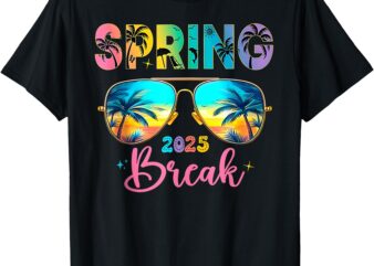 Aesthetic 2025 Spring Break Friends Family Matching Graphic T-Shirt