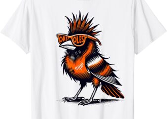 Oriole Bird Owners Oriole Lovers Orange Graphic Design T-Shirt